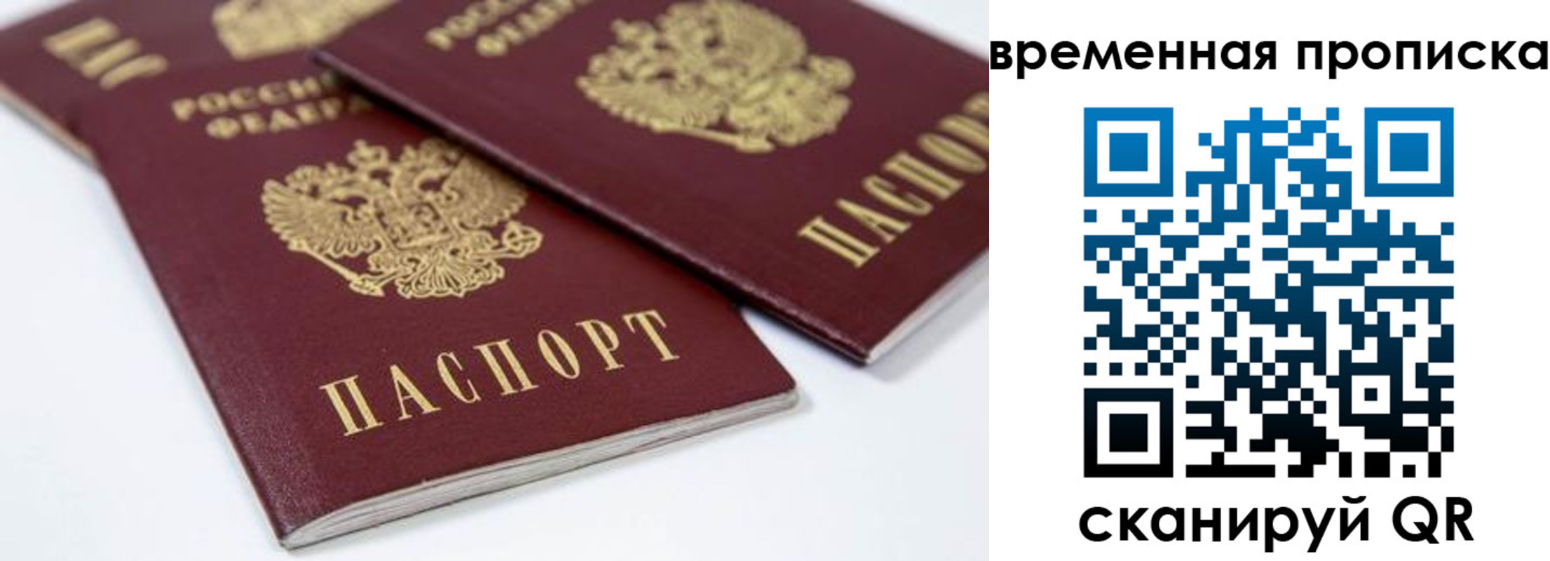 прописка для школы в Кореновске